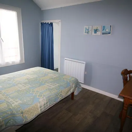 Grande Brevinoise Dans Les Pins *