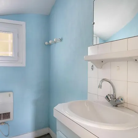 Grande Brevinoise Dans Les Pins *