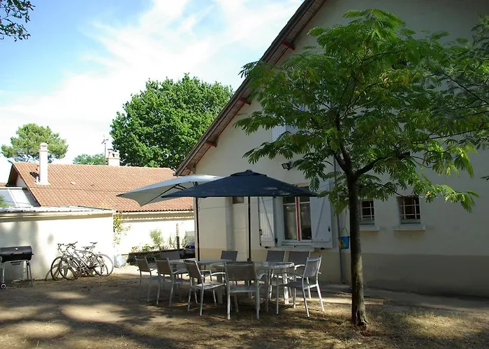 Grande Brevinoise Dans Les Pins Nyaraló