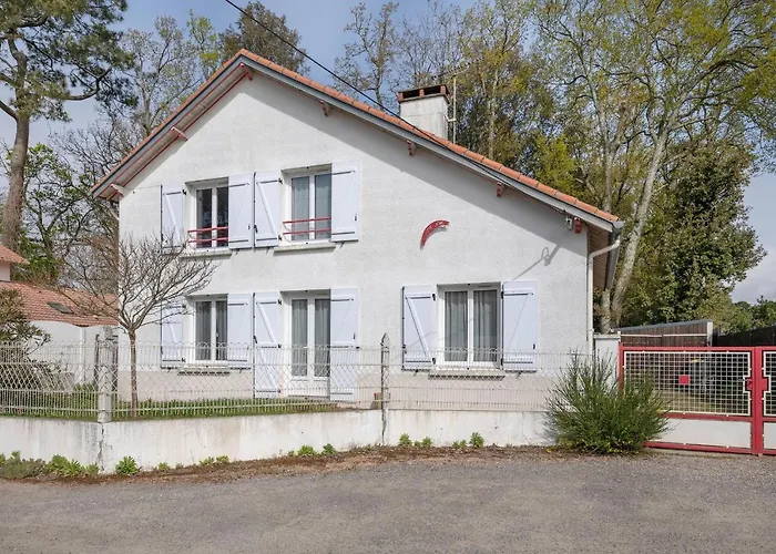 Grande Brevinoise Dans Les Pins Saint-Brévin-les-Pins